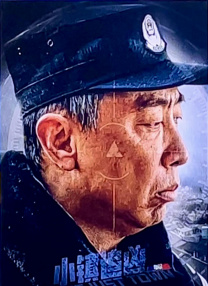 女人自熨全过程无遮视频